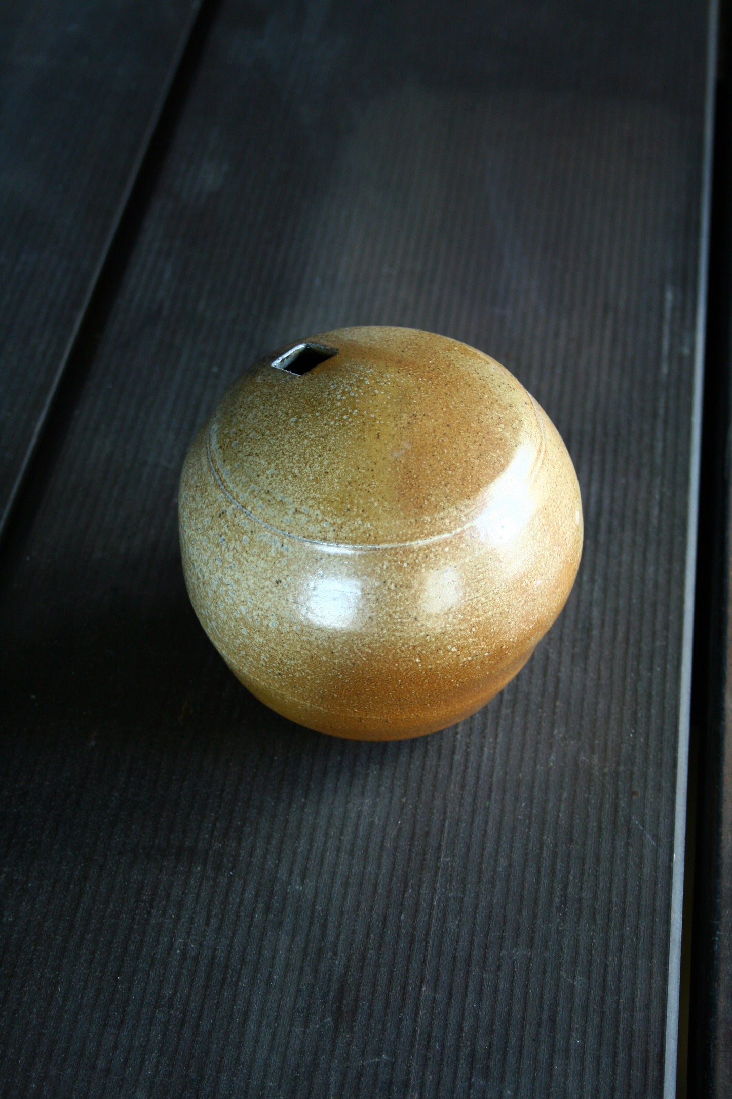 Enclosed form vase