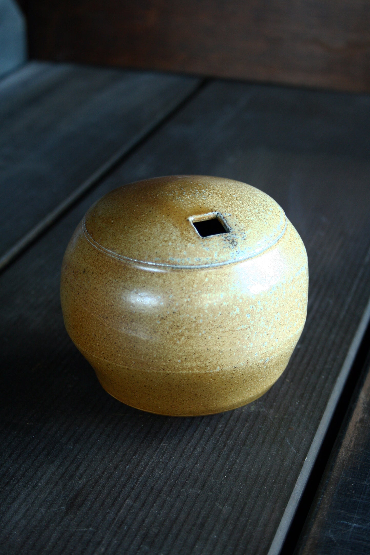 Enclosed form vase