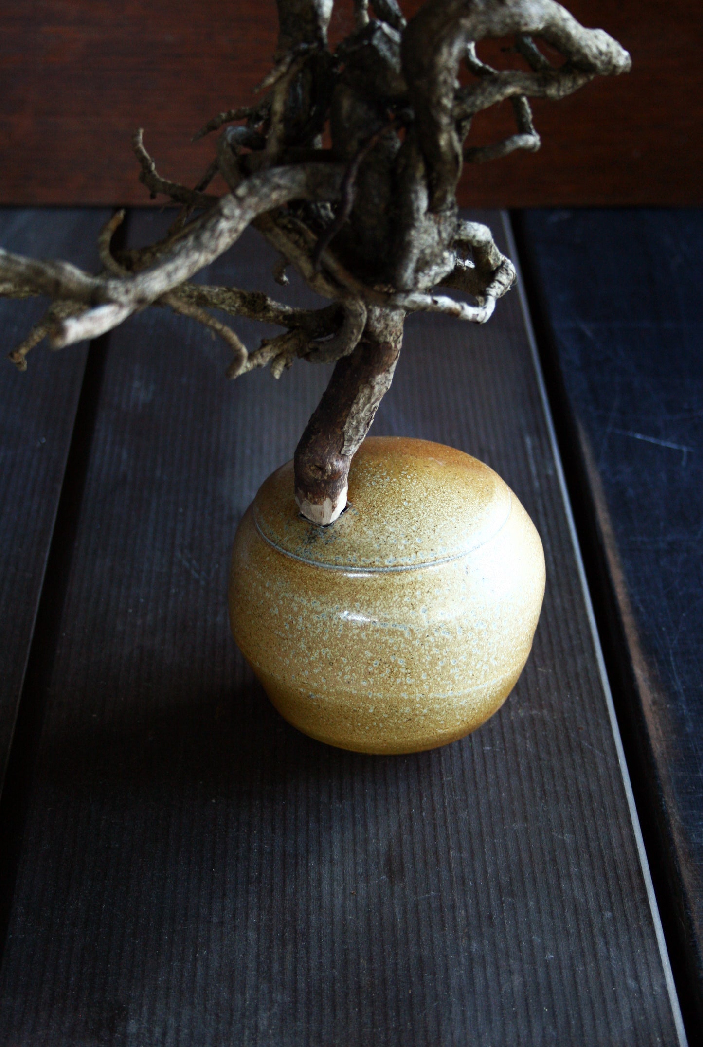 Enclosed form vase